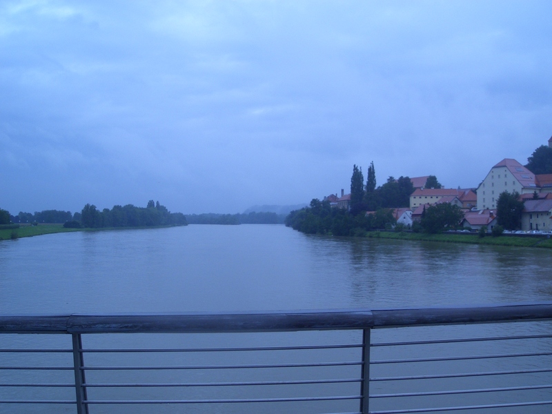 The river Drava