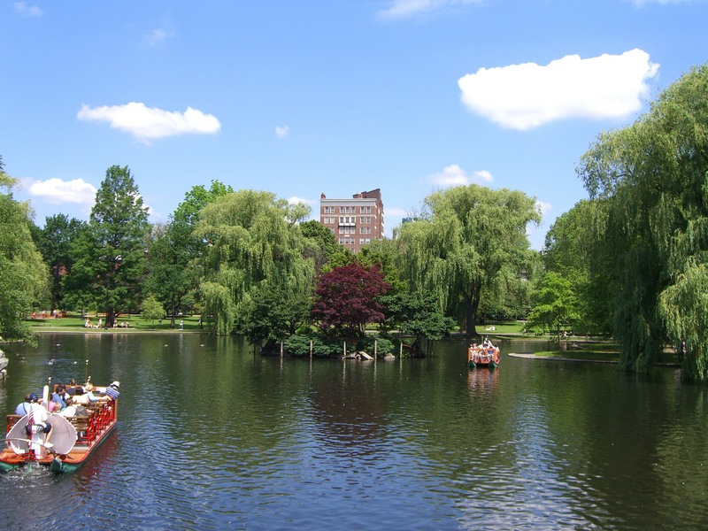 Swan Boats on the lake (Boston Public Gardens)